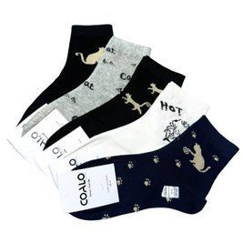 Жіночі Шкарпетки З Принтами "Котики" Coalo 36-41 BM6025 фото 1