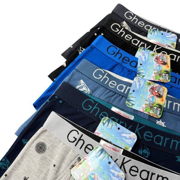 Дитячі Труси Боксери З Принтом Goluin Klain 2-8 G8043 фото 2