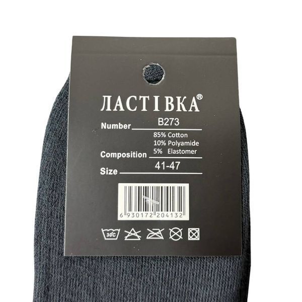 Чоловічі Термо Шкарпетки (Махра) Ластівка 41-47 B273-2 фото 3