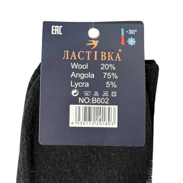 Чоловічі Термо Шкарпетки (Махра) Ластівка 41-47 B602-3 фото 2
