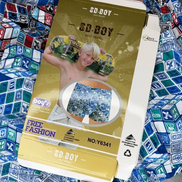 Детские Боксеры С Принтом (Масло) SD.Boy 6-14 Y6341 фото 3