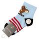 Дитячі Шкарпетки Для Хлопчика Fashion Socks 2-4 CT5200 CT5200 фото 6