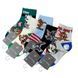 Дитячі Шкарпетки Для Хлопчика Fashion Socks 2-4 CT5200 CT5200 фото 1