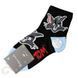 Дитячі Шкарпетки Для Хлопчика Fashion Socks 2-4 CT5200 CT5200 фото 4
