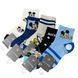 Дитячі Шкарпетки Для Хлопчика Fashion Socks 2-4 CT5201 CT5201 фото 1