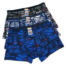 Чоловічі Боксери З Перфорацією SD.Boy XL-4XL Y003 фото 1